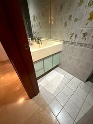 Hazel Park Condominium (D23), Condominium #495983511